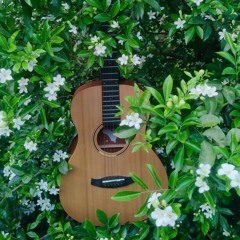 Fresh as the dew in the morning 🌹🌱🌺 Fresco tal como el rocío 🌸🌱🌷