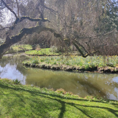 Yoga Nidra - Welcoming In Courage & Strength