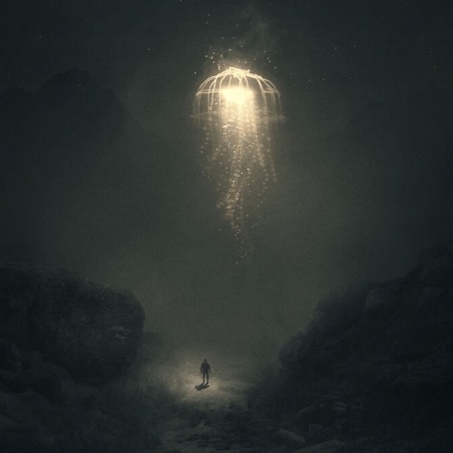 A Light Insight