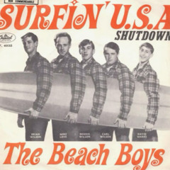 The Beach Boys Barbara Ann Remix 2 rock