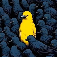 I N S