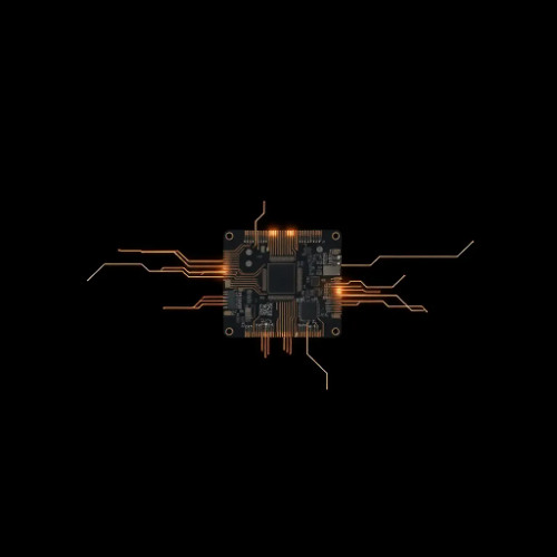 Signal Alive