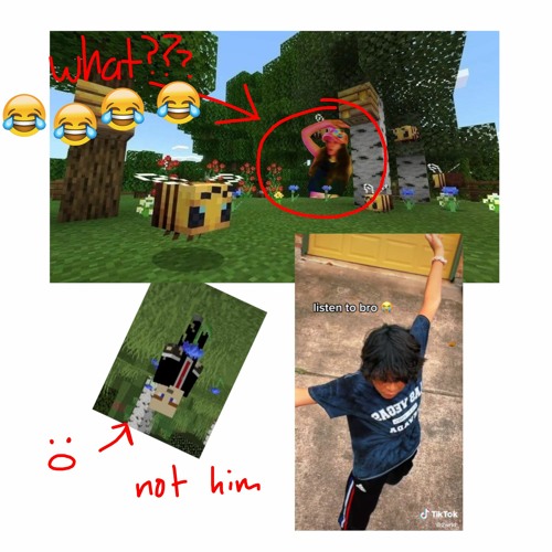 which minecraft player are you (tag your friends down below)