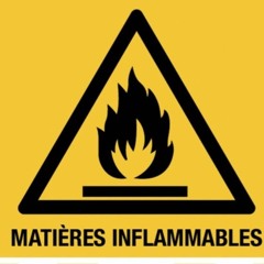 Inflammable feat Lise Doucet