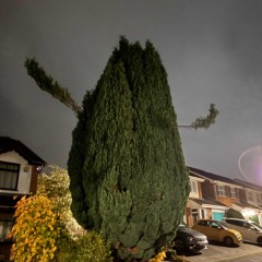 slime krew 𝑔ℯℴ𝓇𝑔ℯ 𝓂𝒾𝓍𝓍