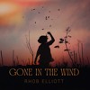 Скачать видео: GONE IN THE WIND (2024)