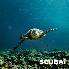 One Last Dance - Hip-Hop version