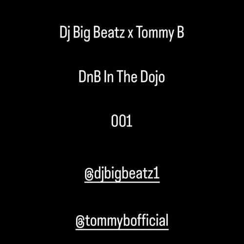 DJ BIG BEATZ X TOMMY B - DNB IN THE DOJO 001