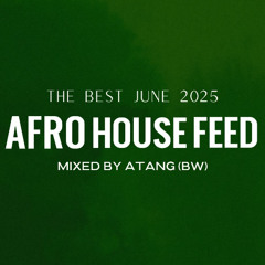 Afro House Best of June 2025 - Mixed by ATANG (BW)