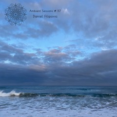 Ambient Sessions #117 -  Daniel Filipovic