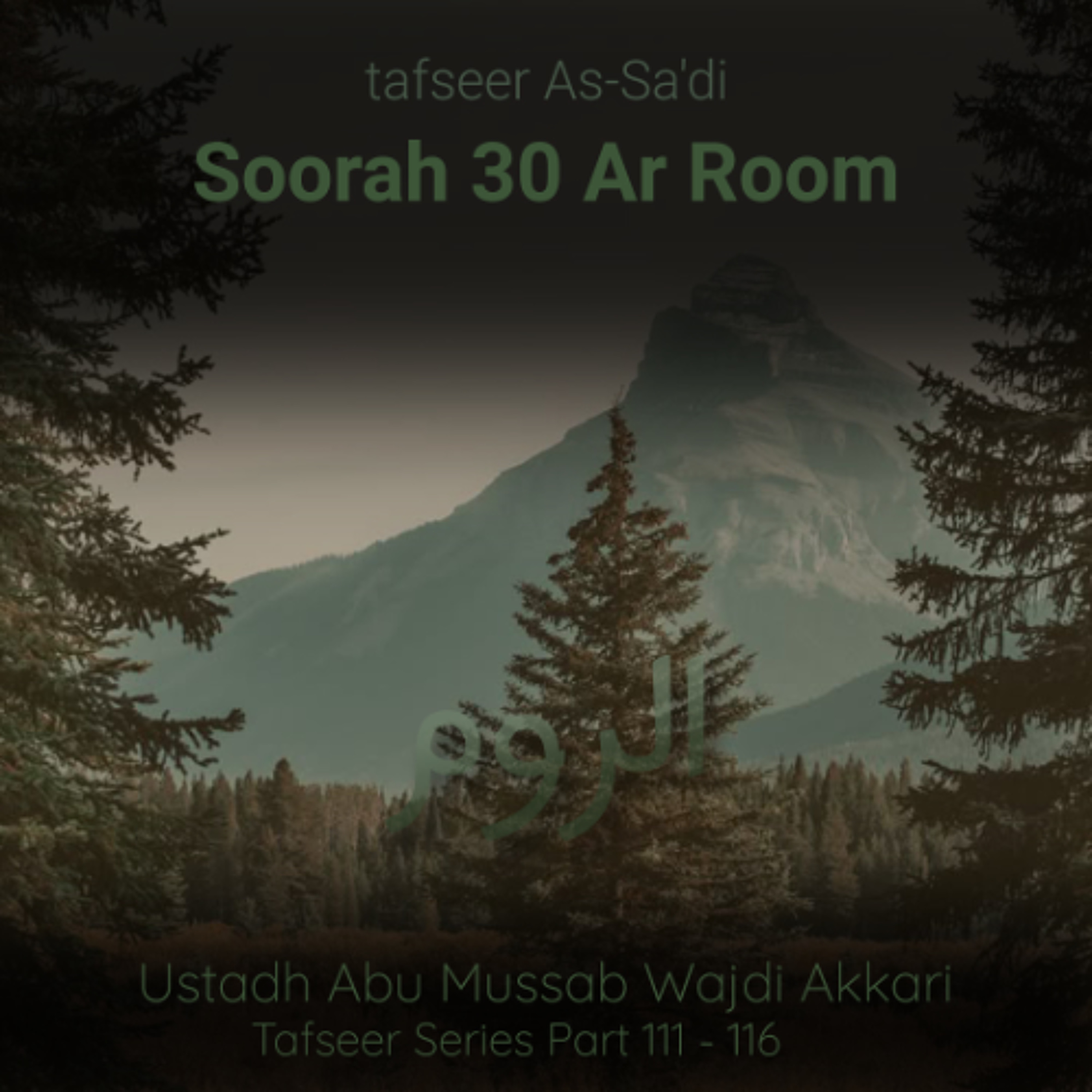 tfsrOWTP#111 - Tafseer As-Sa'di - Soorah Ar-Room 030 - Aayat 01-16 - Ustadh Abu Mussab Wajdi Akkari episode artwork