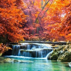 Pigeon Games -【Phigros】 Collection Theme