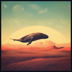 [PREMIERE] MadZen - Sand Whale [Subnautique Records]