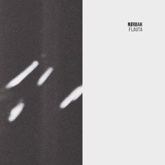 Premiere: Nørbak "Despida" - Token Records