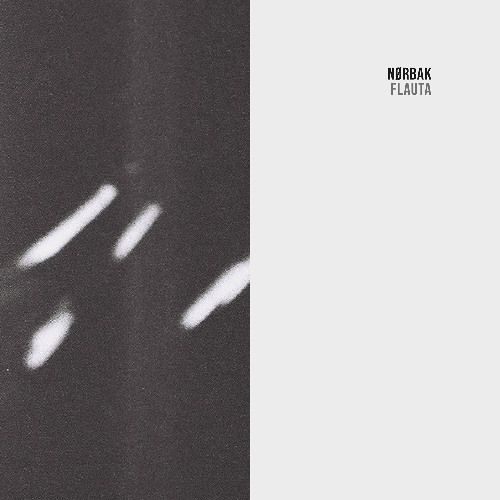 Premiere: Nørbak "Despida" - Token Records