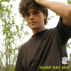 HUMP DAY MIX with Harry Hayes
