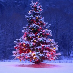 Always Christmas by The Cringles