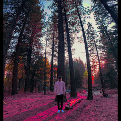 Pink Panther (Prod. Donnie Katana)