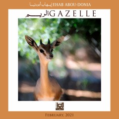 Gazelle - الريم