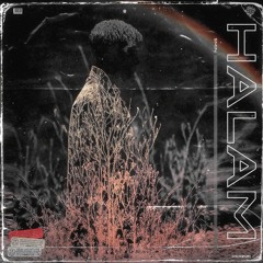 Halam(video on youtube/kolaktube)