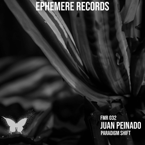 PREMIERE: Juan Peinado - Paradigm Shift [FMR-032]