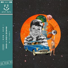 Beach for Tiger - Take It In