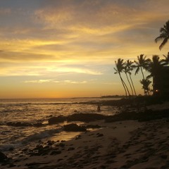 Ho'aikane Tribute Mix