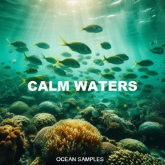 Calm Waters Sample Pack