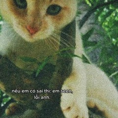 Ngot Nhu Ly Soda - Notcool Speedup + Lyrics