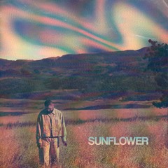 post malone/swae lee - sunflower (lost winters flip)