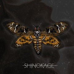 Curiosity Killed The Moth (shinokage flip)
