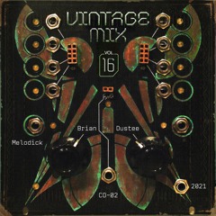 DUSTEE X BRIAN - VINTAGE MIX VOL.16 CD2