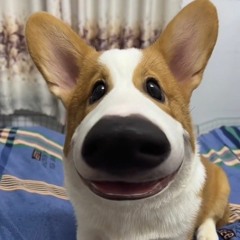 Đáy Biển  Hạnh Phúc Đó Em Không Có  PBQA Remix.mp3