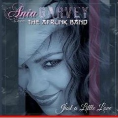 Ania Garvey Feat The Afrunk -just A Little Love (master Original)