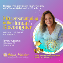Living in the Joy of the Daily Miracles | Genie in the Bottle | Sara Garcia