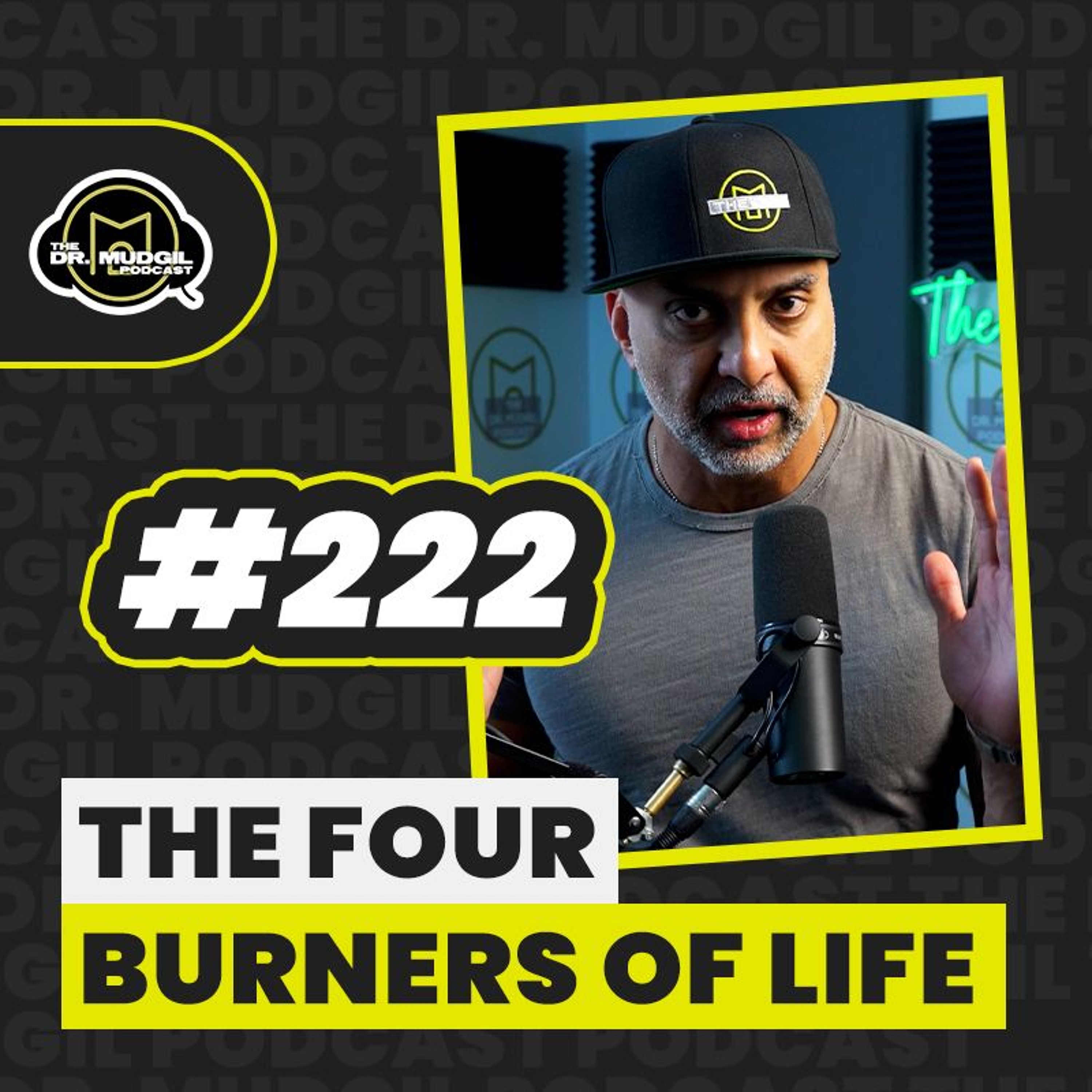 Episode 222 - THE FOUR BURNERS OF LIFE episode artwork