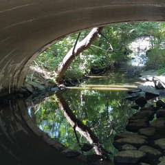 Cois na Sruthanna sa Bhablóine