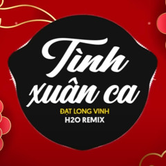 Tình Xuân Ca (EDM Remix)