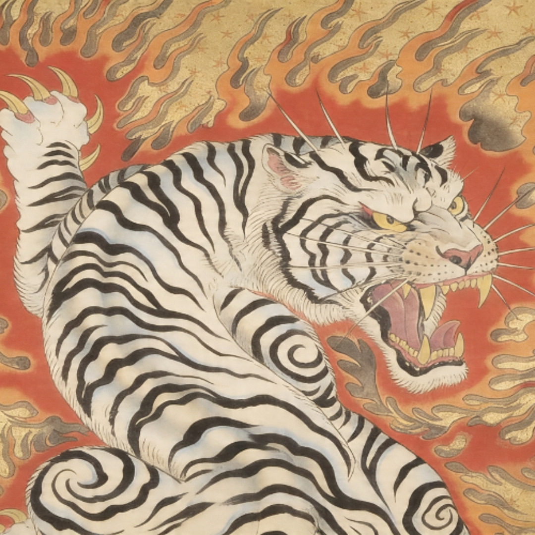K*s様 ビカクシダ ホワイトタイガー white tiger 【公式通販】