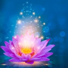 ARIEL - Meditation #1