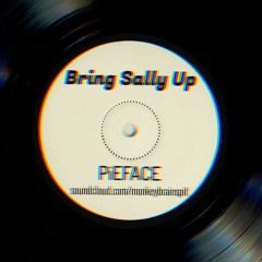 PiEFACE - Bring Sally Up
