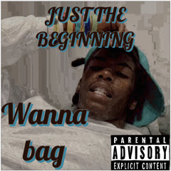 Wanna Bag (Feat. JB2x$ & M4)