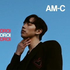 AM - C - ZURHENDEE SONSOOROI