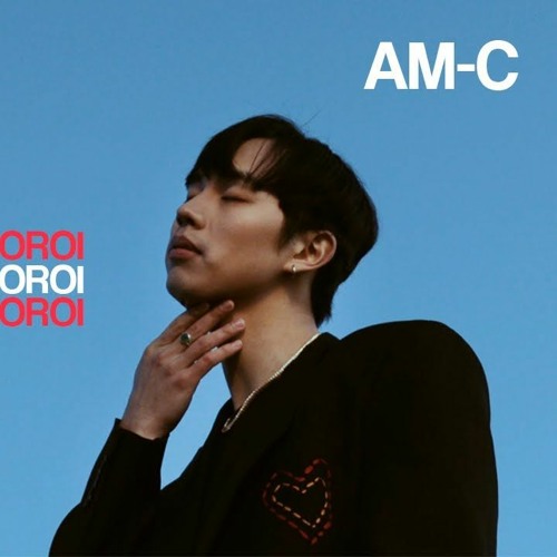 AM - C - ZURHENDEE SONSOOROI