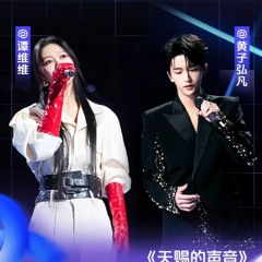 转身即心痛—黄子弘凡&谭维维 天赐的声音Cover