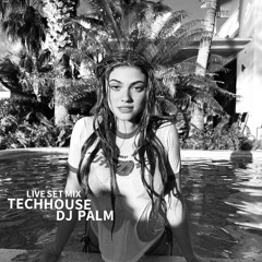 LIVE SETMIX 01_DJPALM_TECHHOUSE GENRE
