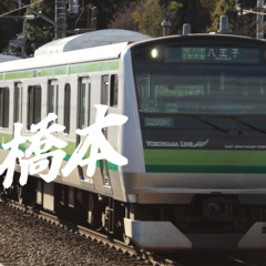 HASHIKORIN ZONE