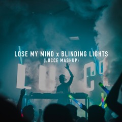 Lose My Mind x Blinding Lights (Lucce Mashup)