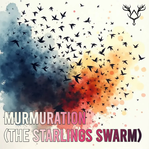 Murmuration (The Starlings Swarm)