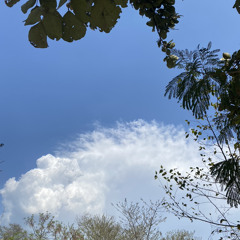 Arif Baloch  Mubarak Qazi  Adam a hori Parche Tao Gunahgara Hawa  Balochi Song Arif Baloch.mp3